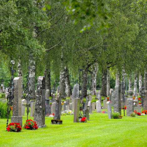 Friedhof als Lebensraum für Tiere in der Stadt