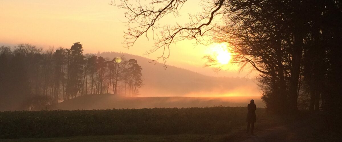 Frau spaziert bei Sonnenuntergang und Nebel am Waldrand im November.