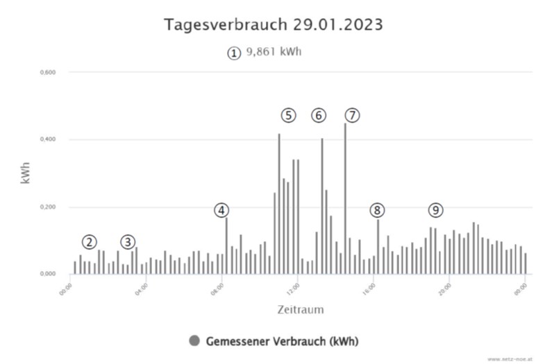 Grafik Tagesverbrauch vom 29. Jänner 2023.