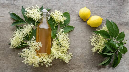 Holunderblütensirup in einer Flasche mit Holunderblüten und Zitronen